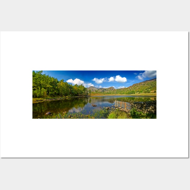 The Beauty of Blea Tarn Wall Art by BrianPShaw